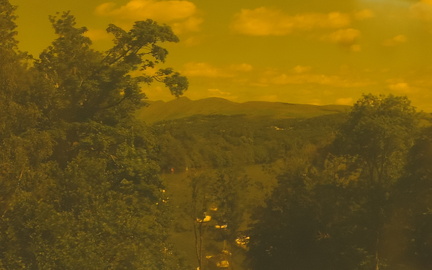 Yellow filter