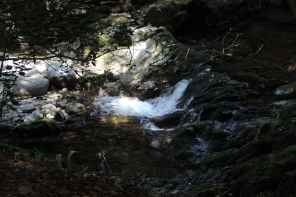 Rapids