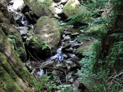 Rocks