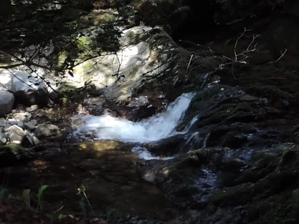 Rapids