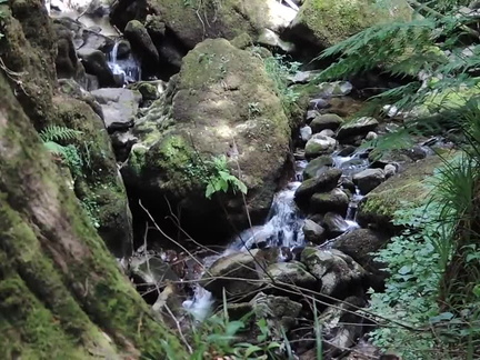 Rocks