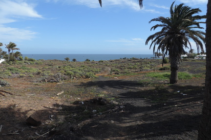 To the sea front