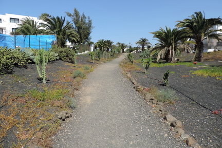Path