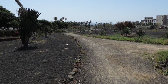 Path