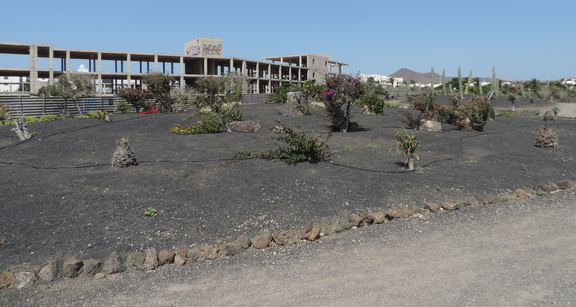 Resort and garden