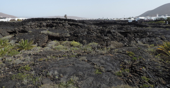 Lava flows