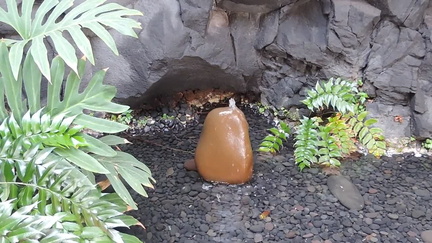Fountain