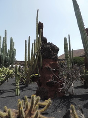 Rockery