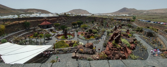 Across the garden