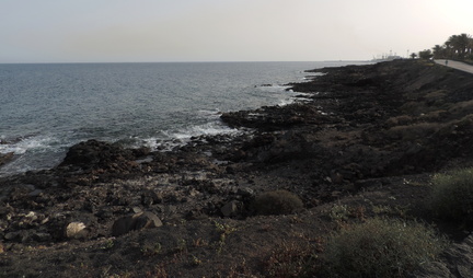 Along the coast