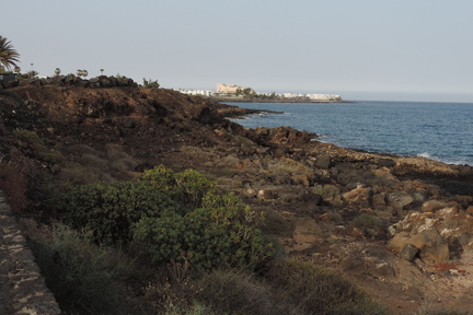 Along the coast