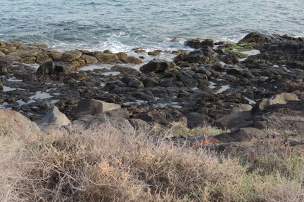 Rocky beach
