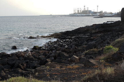 Along the coast