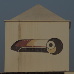 Toucan