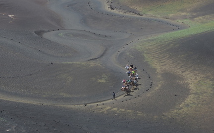 Camel trip
