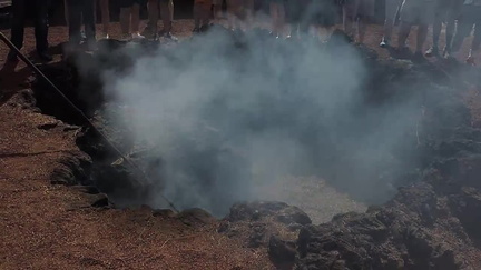 Smouldering plant