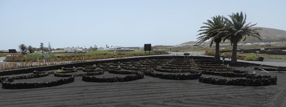 Windbreaks