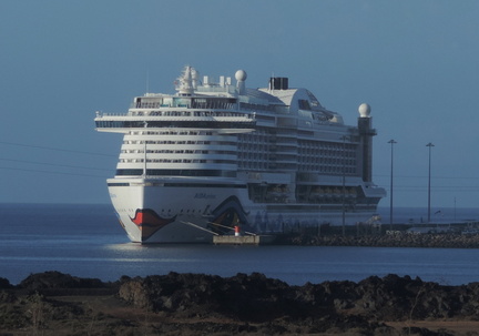Liner