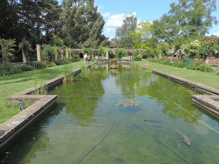 Pond