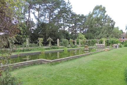 Pond