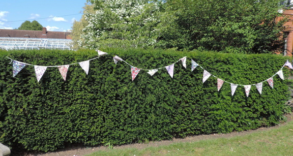 Bunting
