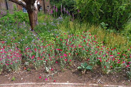 Flower bed