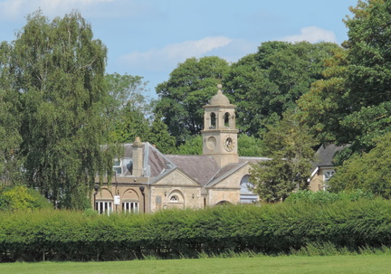 House through the trees