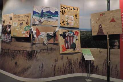 Environmental display