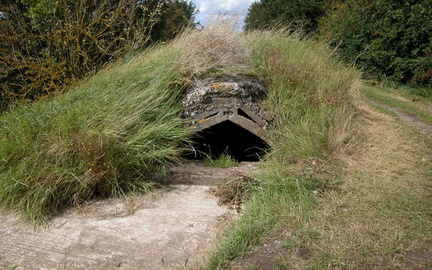 Bunker