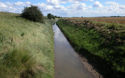Channel