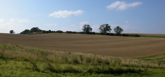 Contoured field