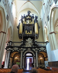 Organ pipes