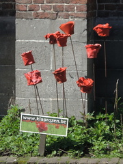 Roses
