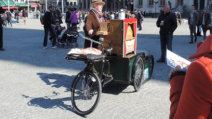 Musician