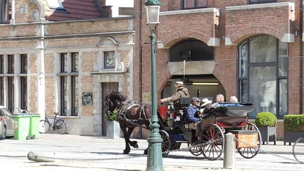 Horse and cart
