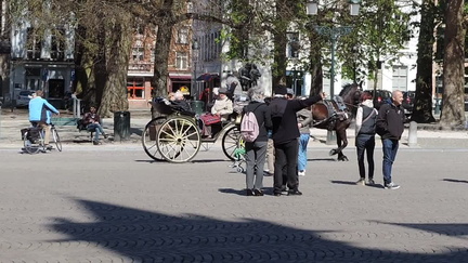 Horse and cart