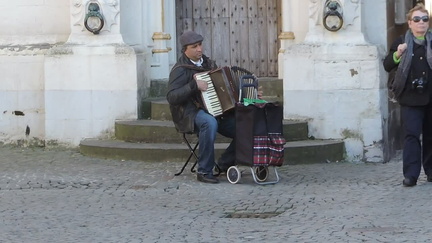 Accordion player
