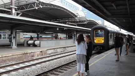 Train