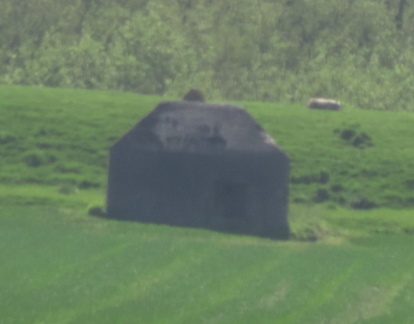 Concrete structure