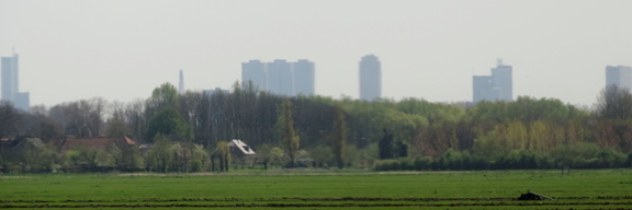 Skyline