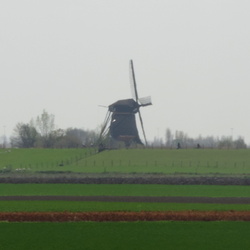To Amsterdam