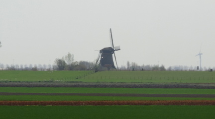Windmill