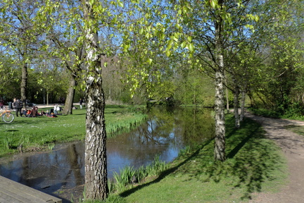 Stream
