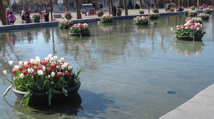 Planters
