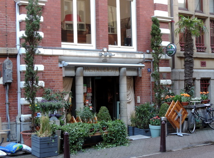 Plants