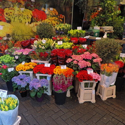 Flower Market