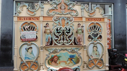 Organ