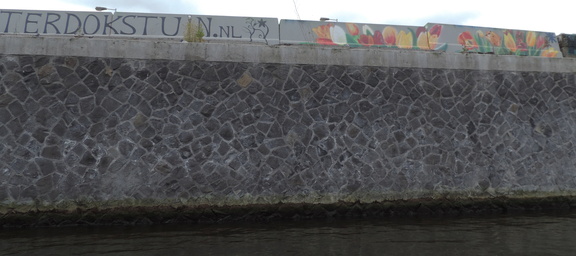 Tulip wall