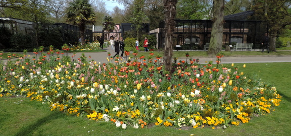 Flower bed