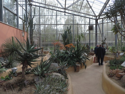 Cactus house